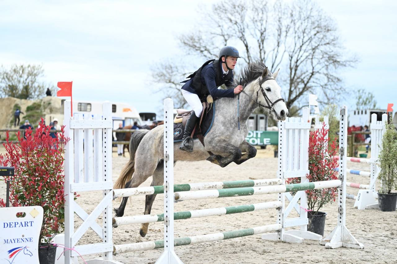 Merrie Bekend ras Te koop 2020 Schimmel