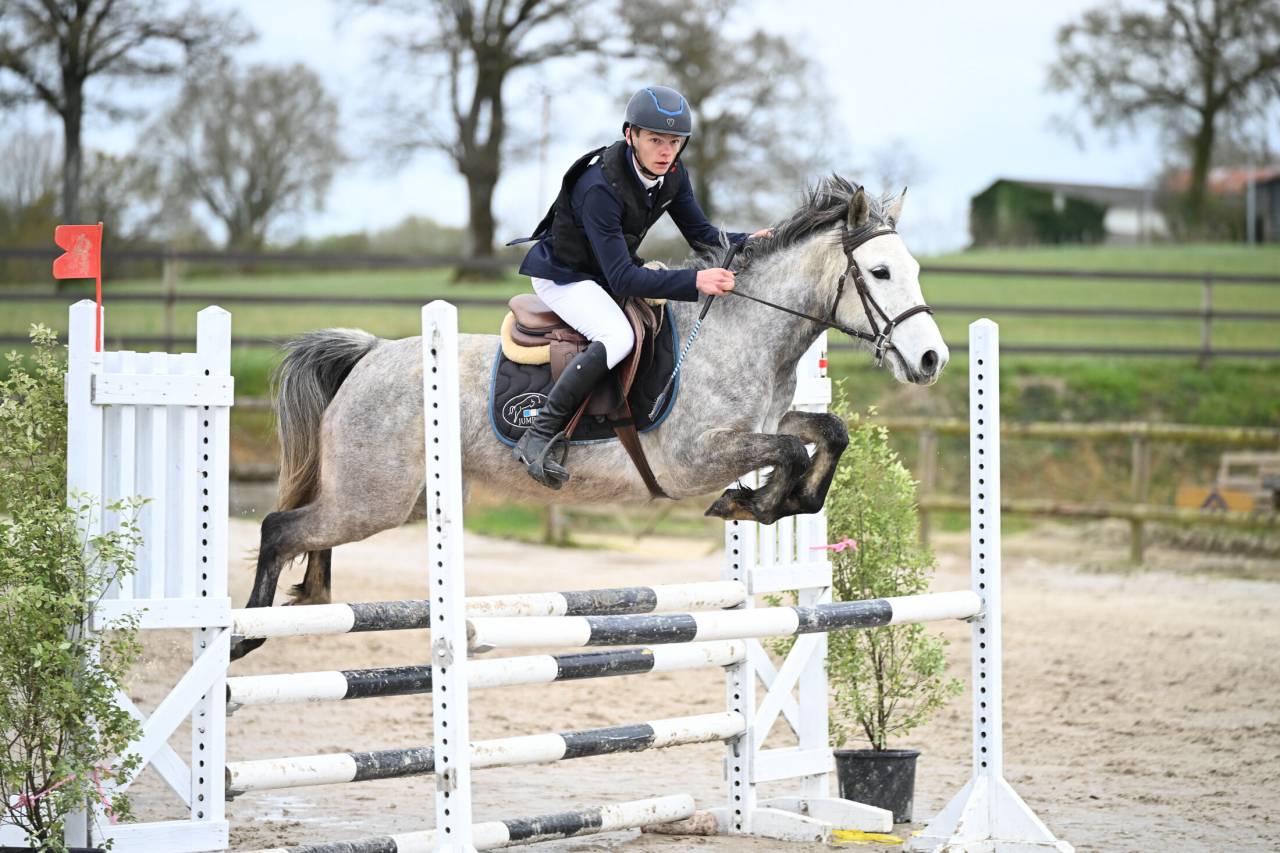 Merrie Bekend ras Te koop 2020 Schimmel