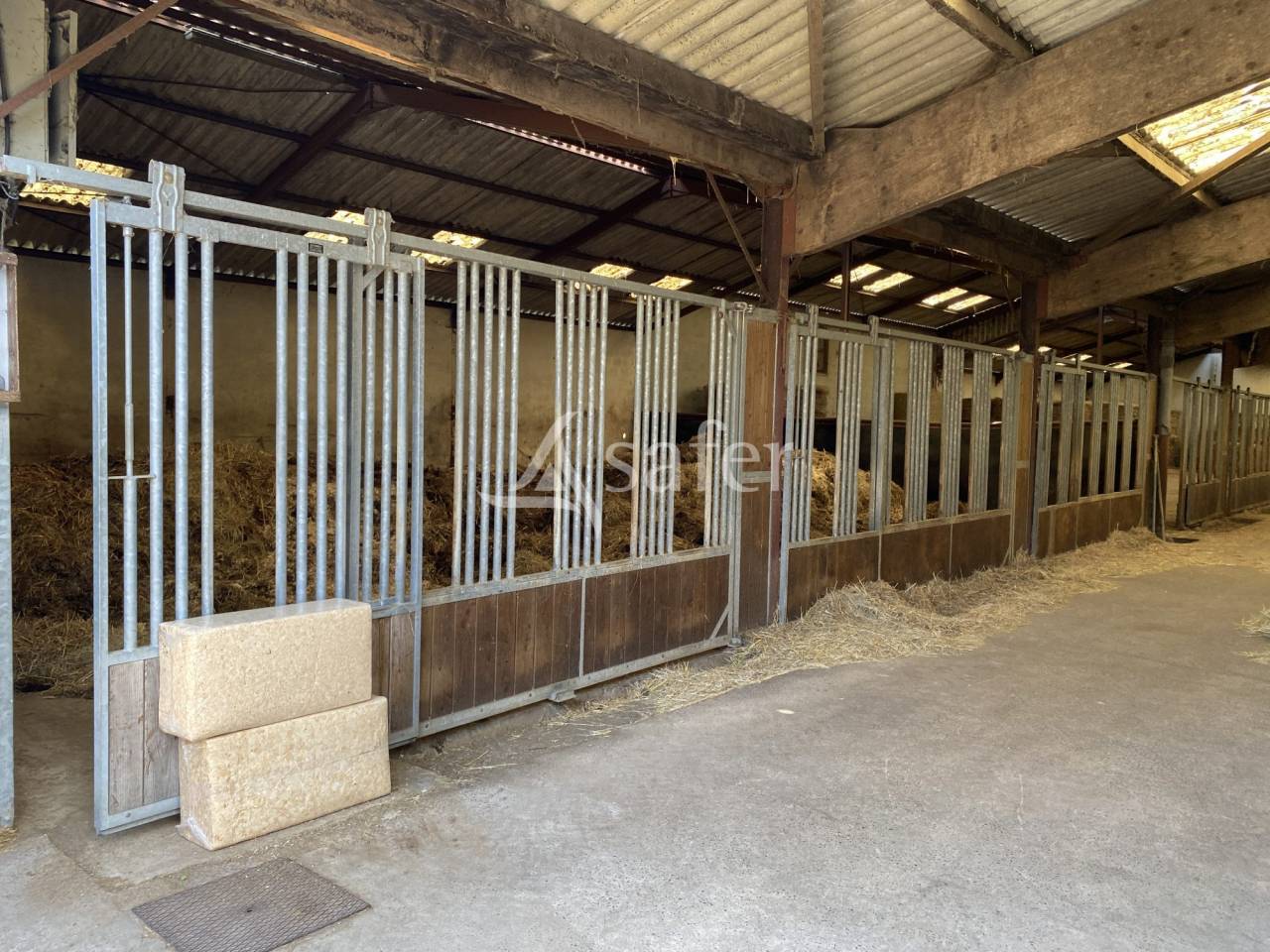 Hippisch vastgoed Koop Calvados