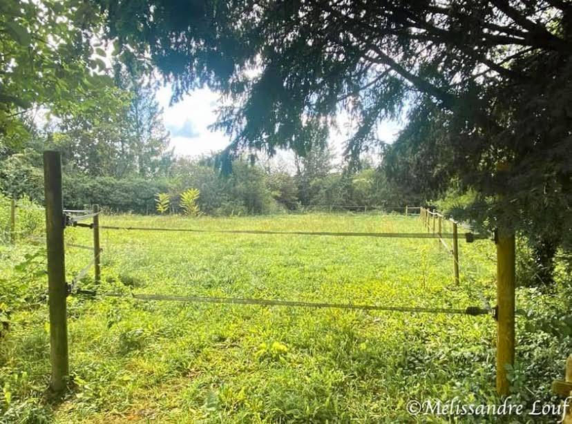 Hippisch vastgoed Koop Seine-et-Marne