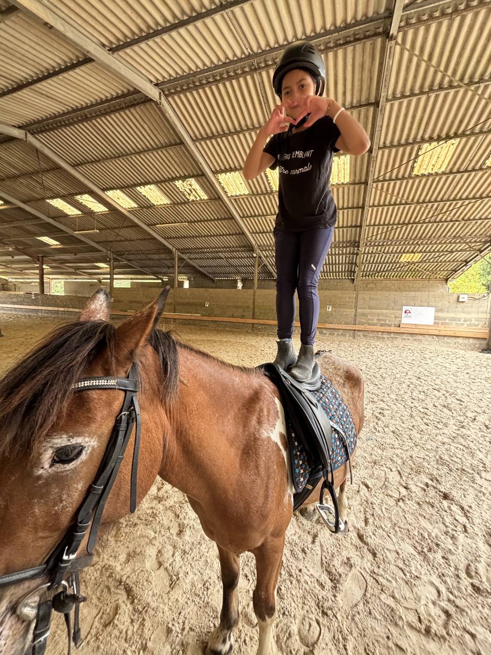 Merrie Ras onbekend Te koop 2019 Bont