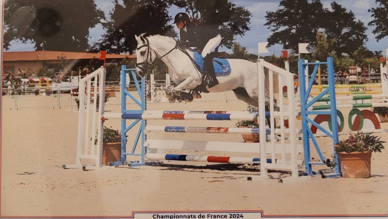 Ruin Franse rijpony PFS Te koop 2017 Schimmel