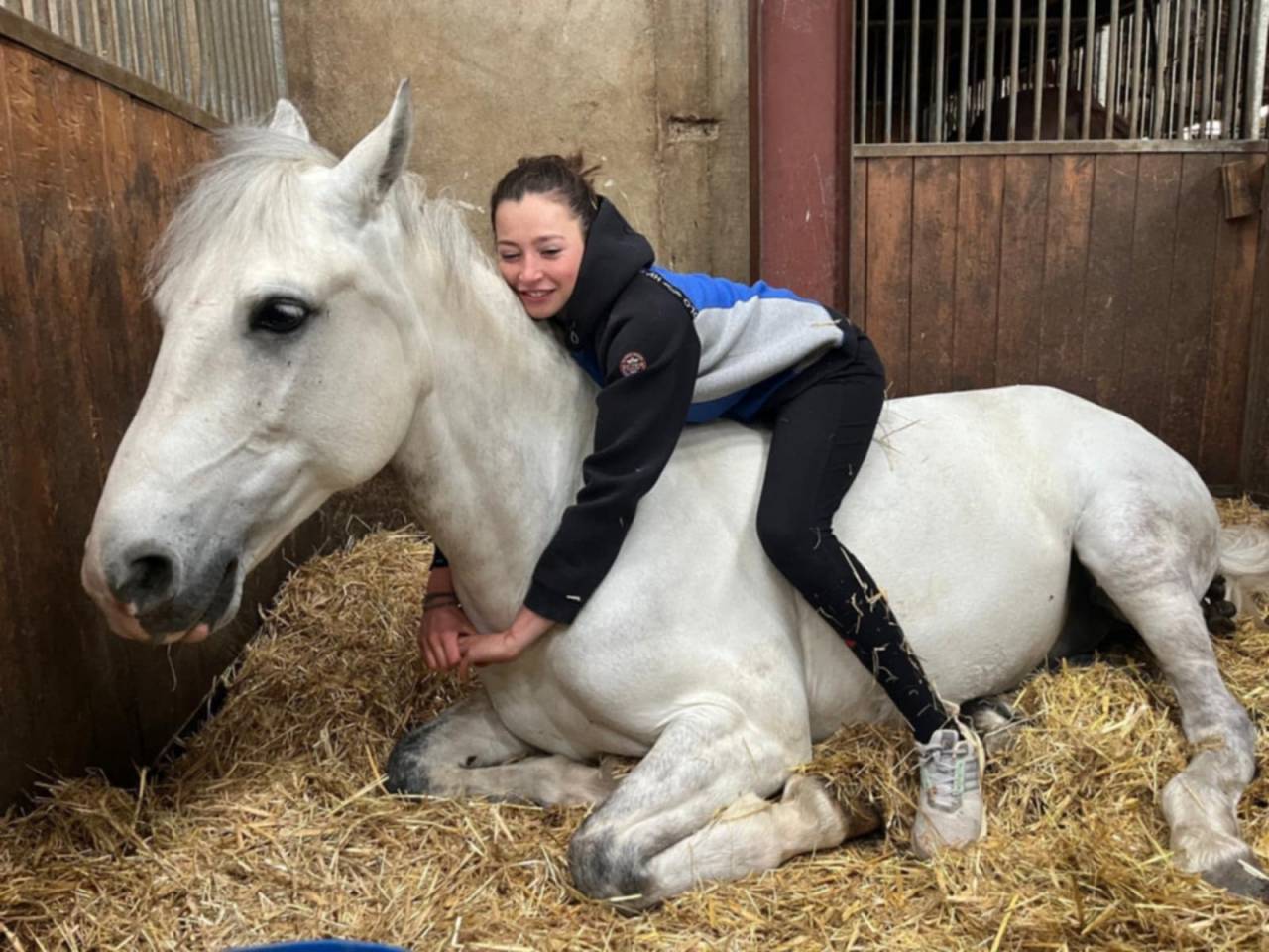 Ruin Franse rijpony PFS Te koop 2017 Schimmel