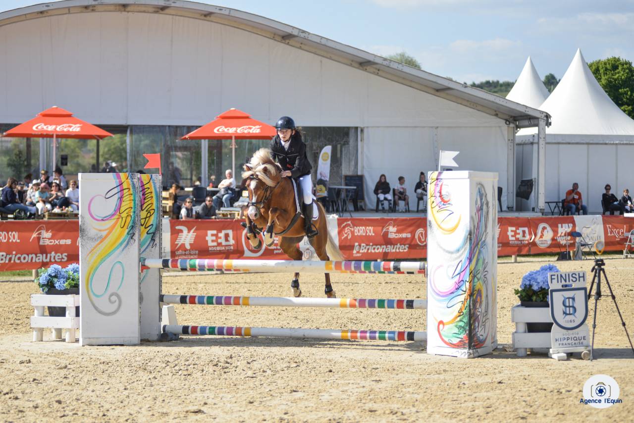 GOLBURY DES BERTAINES - Welsh Pony (Section B) 2016 ,  VINCE DIWAN