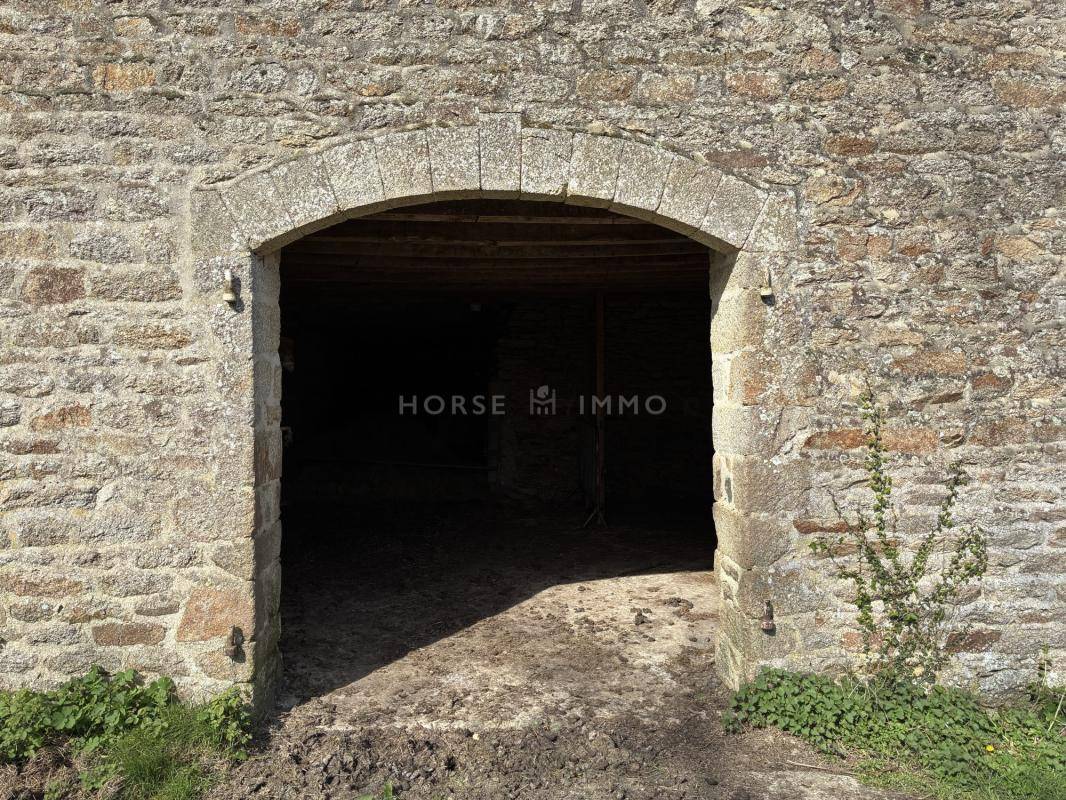 Hippisch vastgoed Koop Morbihan