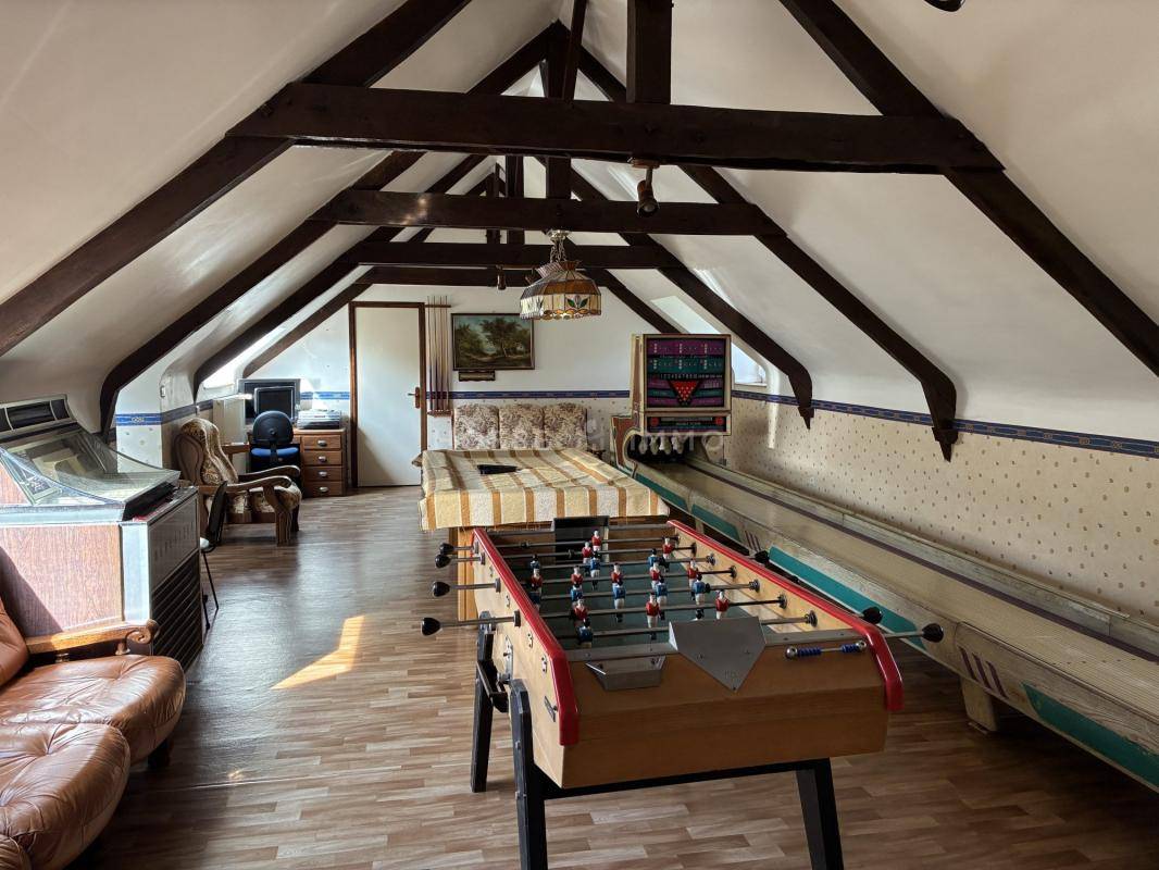 Hippisch vastgoed Koop Morbihan