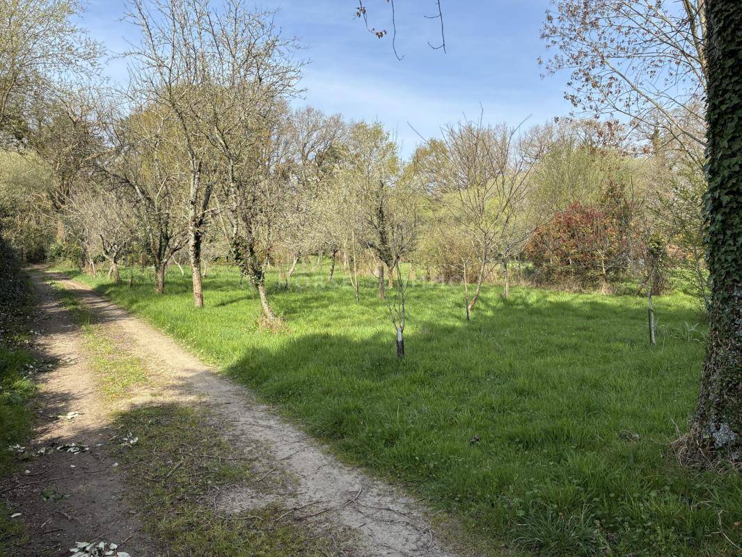 Hippisch vastgoed Koop Morbihan