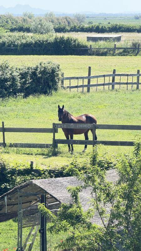 Hippisch vastgoed Koop Bouches-du-Rh&ocirc;ne