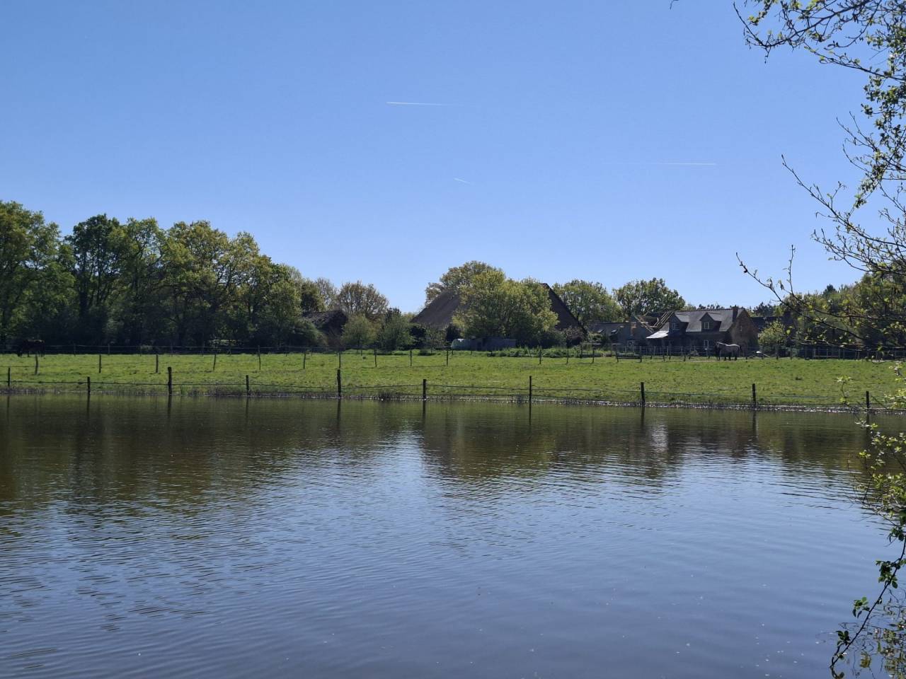 Paarden accommodatie Koop Loire-Atlantique