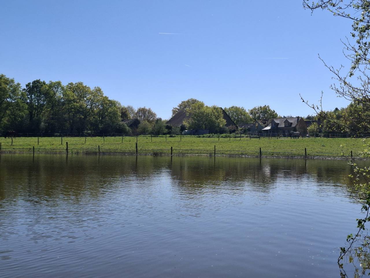 Paarden accommodatie Koop Loire-Atlantique