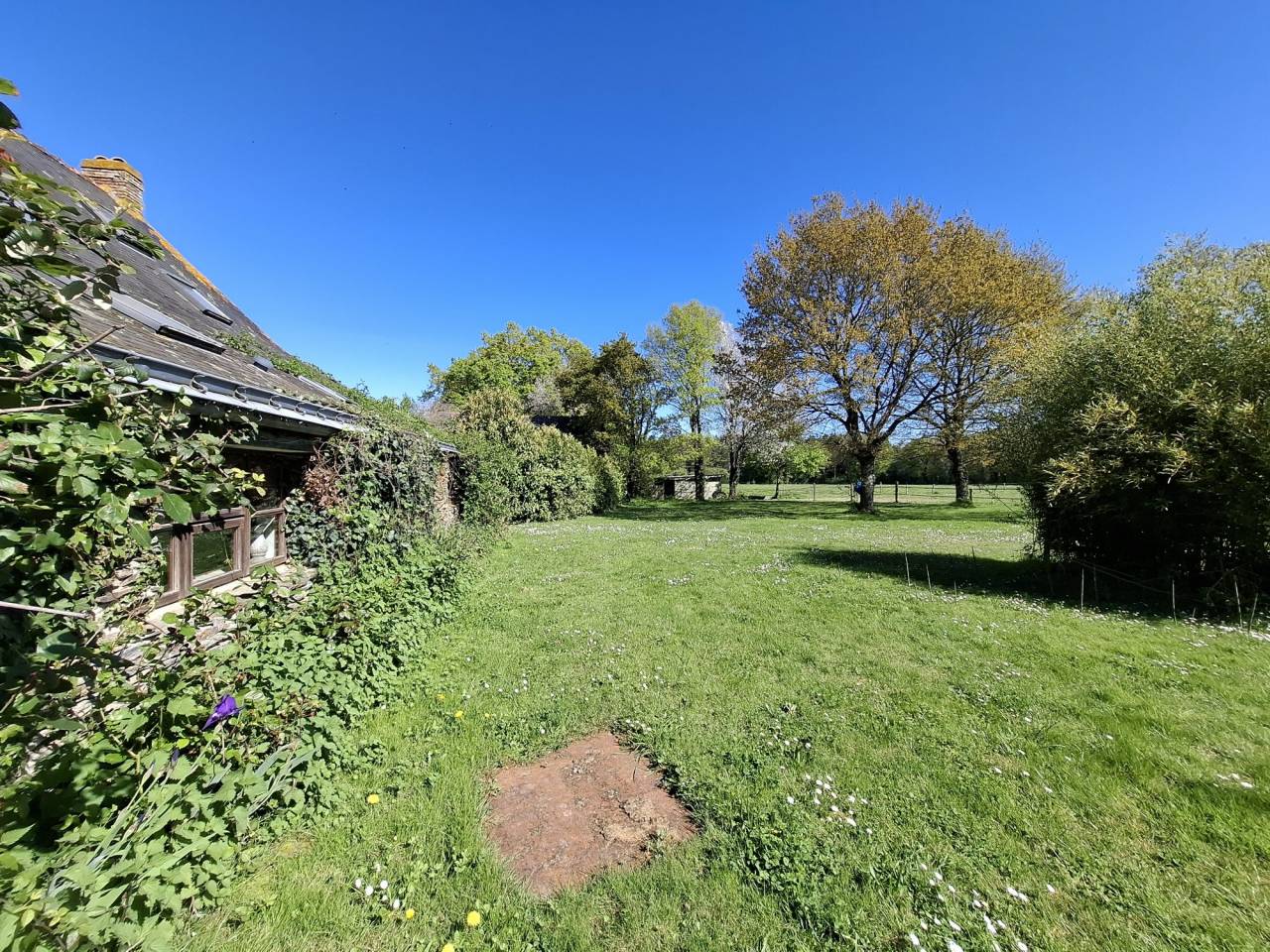 Paarden accommodatie Koop Loire-Atlantique