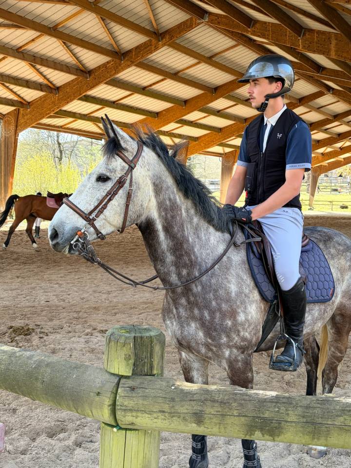 Ruin Franse rijpony PFS Te koop 2019 Schimmel