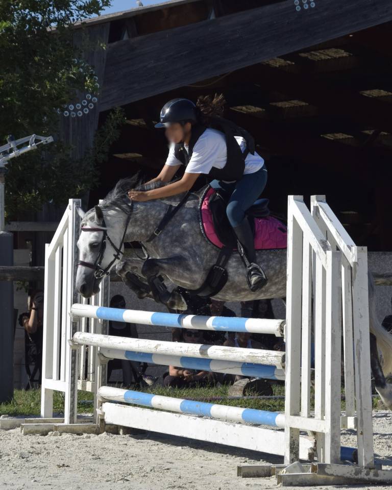 Merrie Ras onbekend Te koop 2018 Schimmel