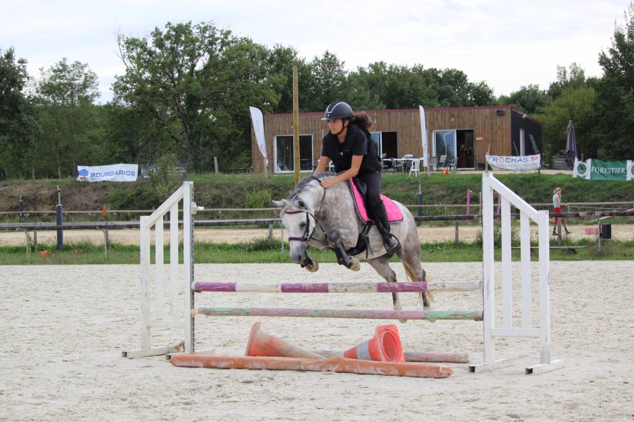 Merrie Ras onbekend Te koop 2018 Schimmel