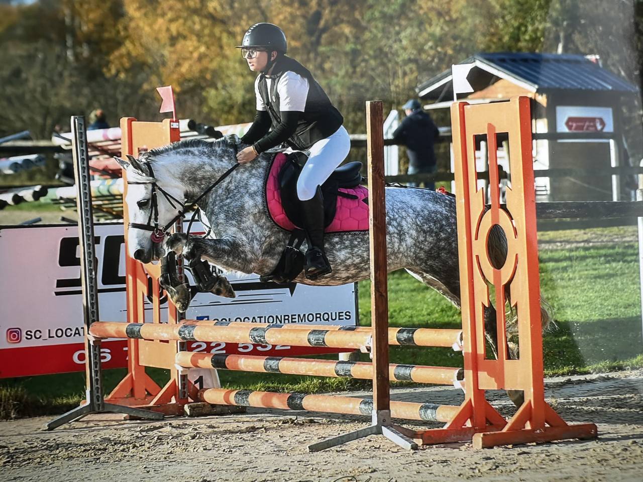 Merrie Ras onbekend Te koop 2018 Schimmel