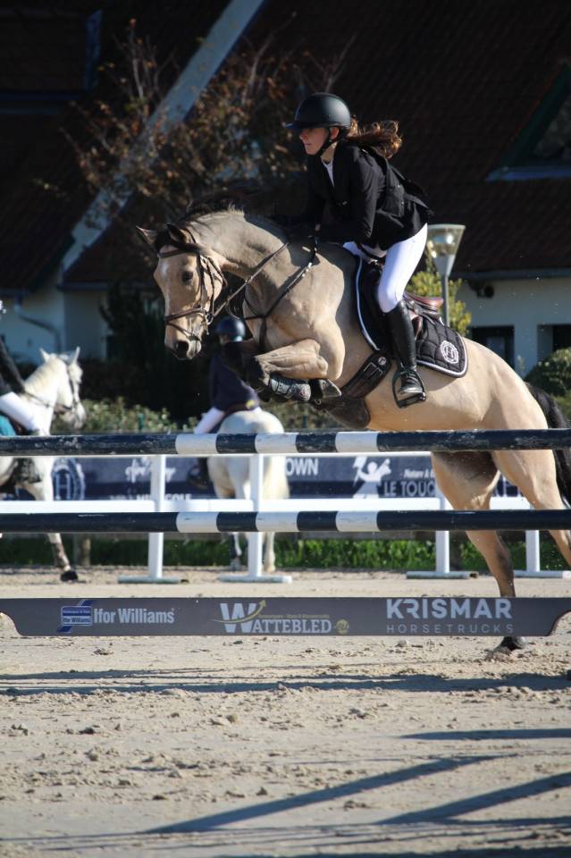 Ruin Welsh Partbred Te leen 2015 Isabel