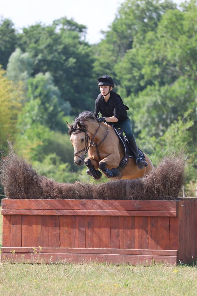 Ruin Welsh Partbred Te leen 2015 Isabel