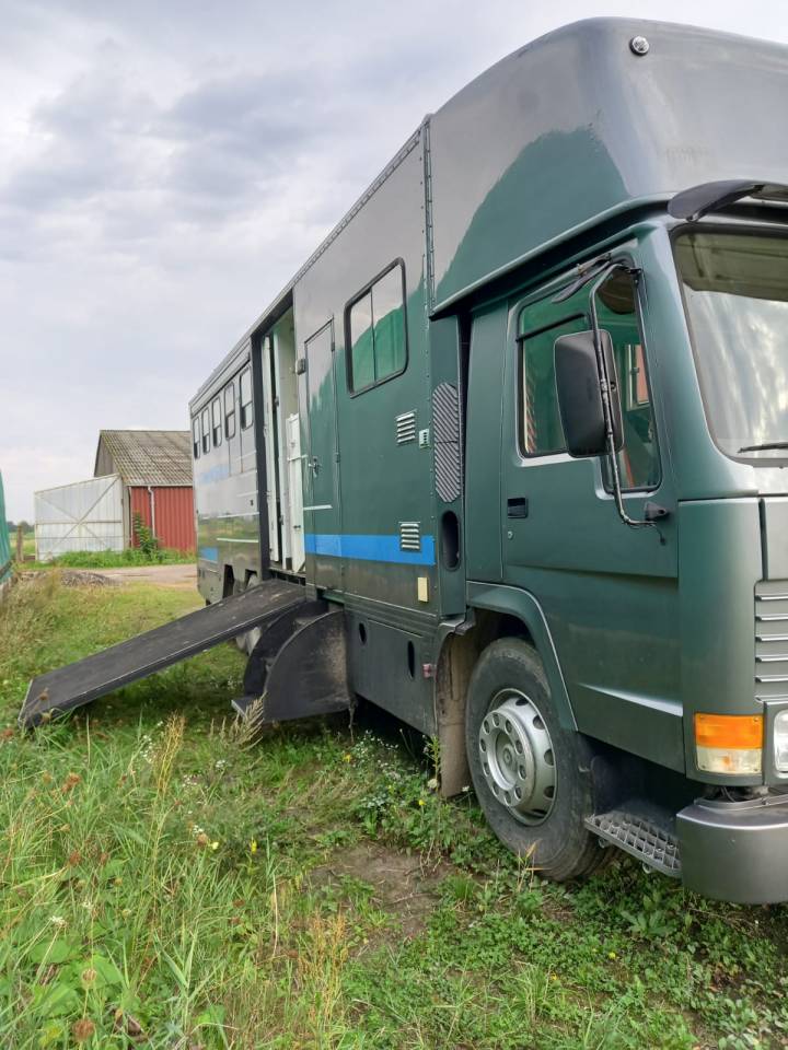 Zware paardenvrachtwagen (groot rijbewijs) Volvo FL 10 1989 Tweedehands