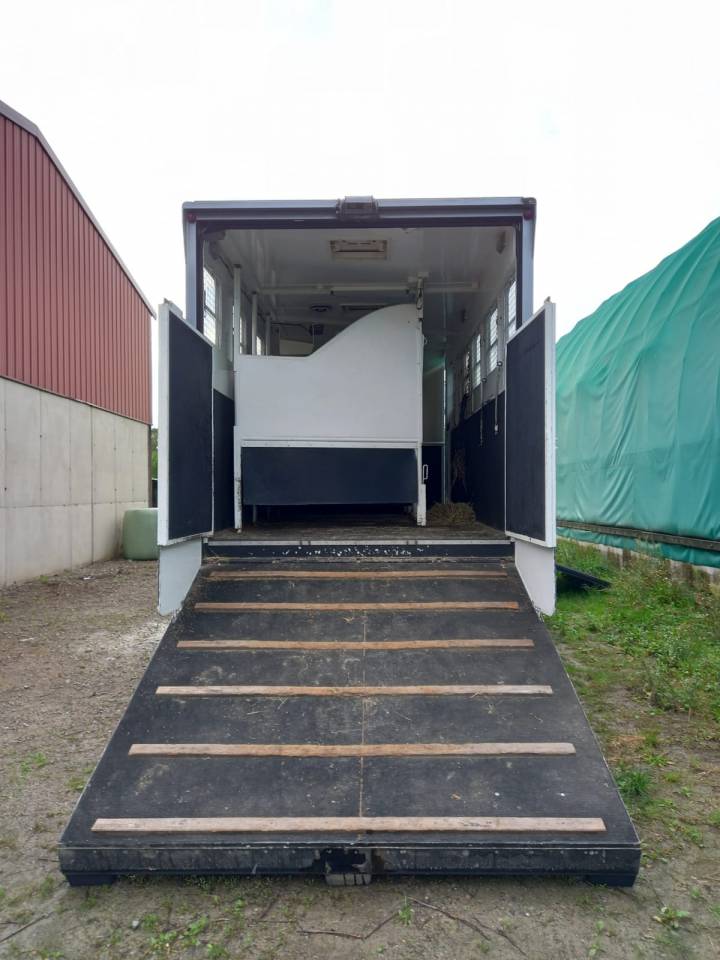 Zware paardenvrachtwagen (groot rijbewijs) Volvo FL 10 1989 Tweedehands