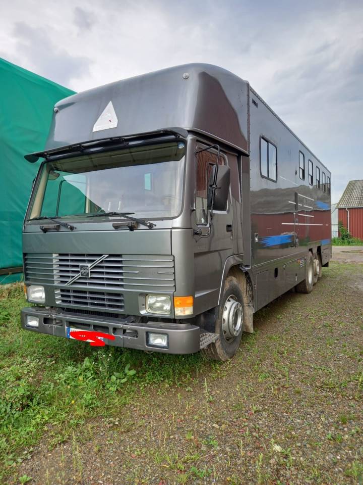 Zware paardenvrachtwagen (groot rijbewijs) Volvo FL 10 1989 Tweedehands