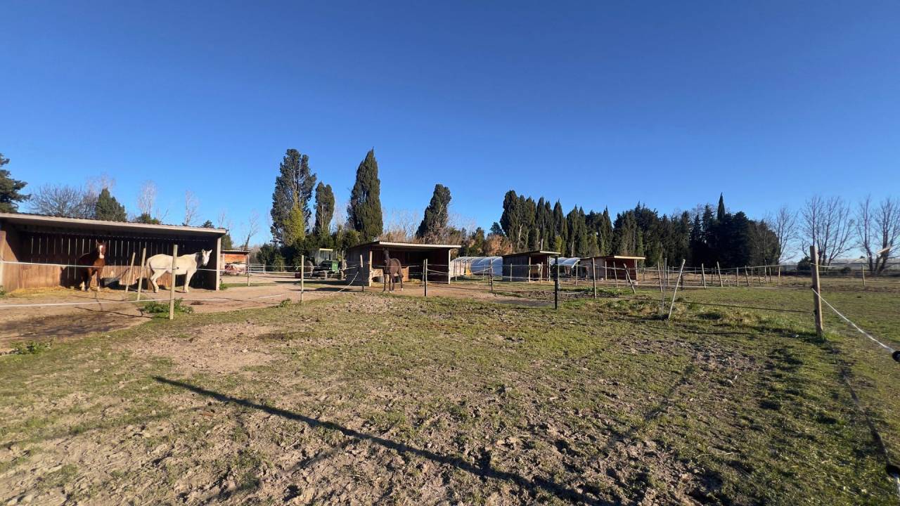 Hippisch vastgoed Koop Bouches-du-Rh&ocirc;ne