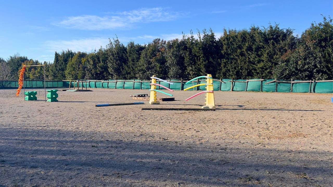 Hippisch vastgoed Koop Bouches-du-Rh&ocirc;ne