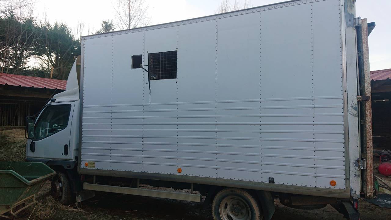 Kleine paardenvrachtwagen (B rijbewijs) Mitsubishi canter 1999 Tweedehands