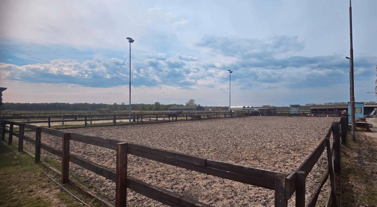 Plek vrij op unieke paddock paradise met 24/7 buiten