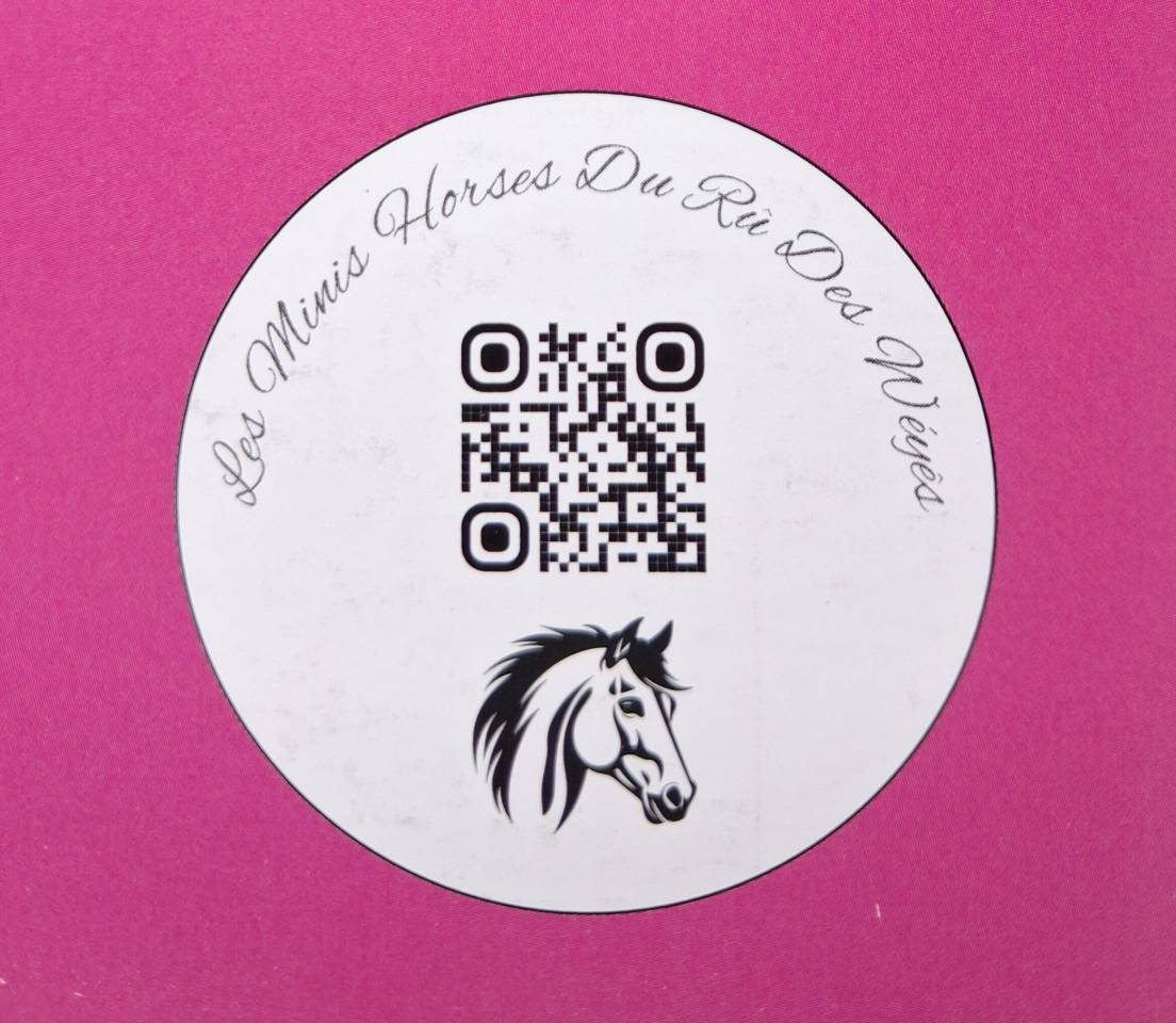 Merrie Andere pony rassen Te koop 2019 Overige kleuren ,  Cyrus of the fairy tale ranch