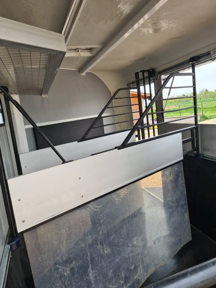 Paardentrailers Cheval Libert&eacute; Minimax 3 Paarden 2020 Tweedehands