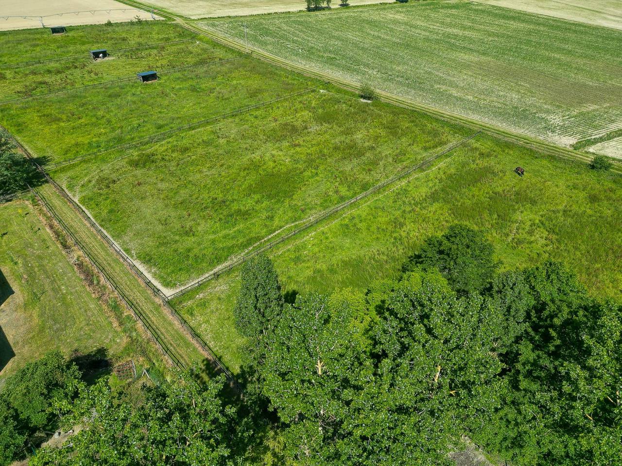Eigenaren stal Koop Hautes-Pyr&eacute;n&eacute;es