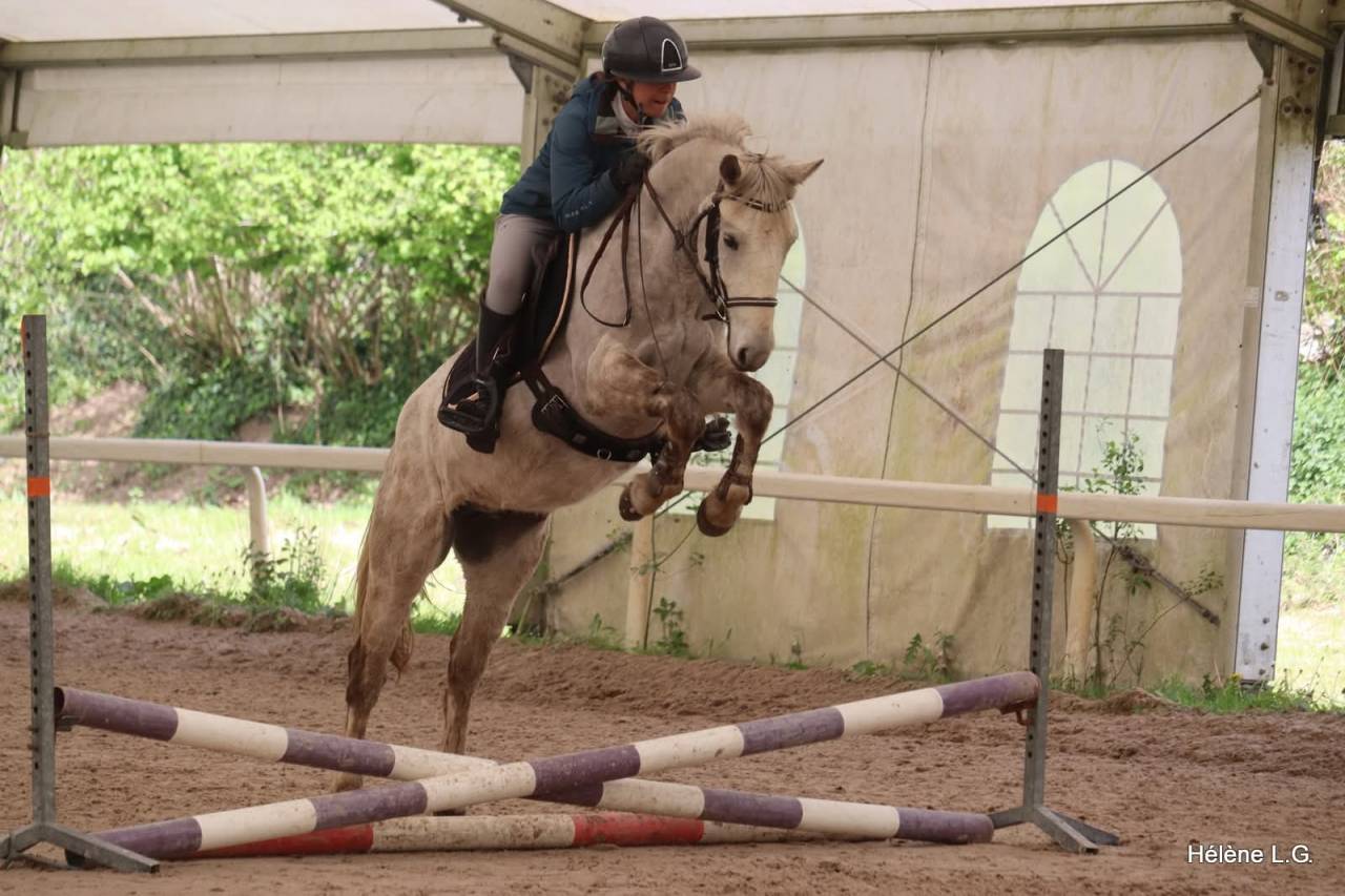 Ruin Connemara Te koop 2022 Schimmel