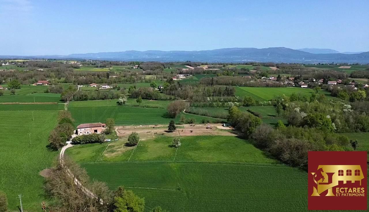 Eigenaren stal Koop Is&egrave;re