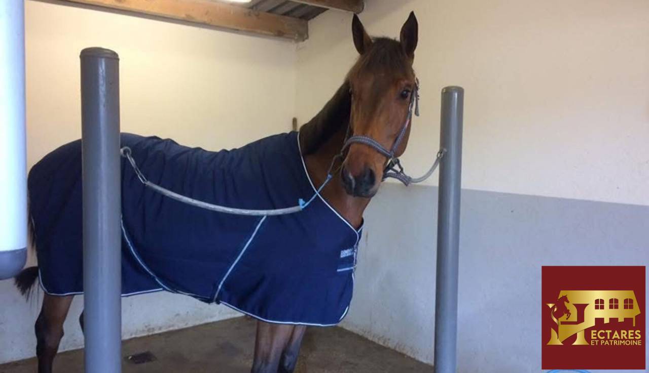 Eigenaren stal Koop Is&egrave;re