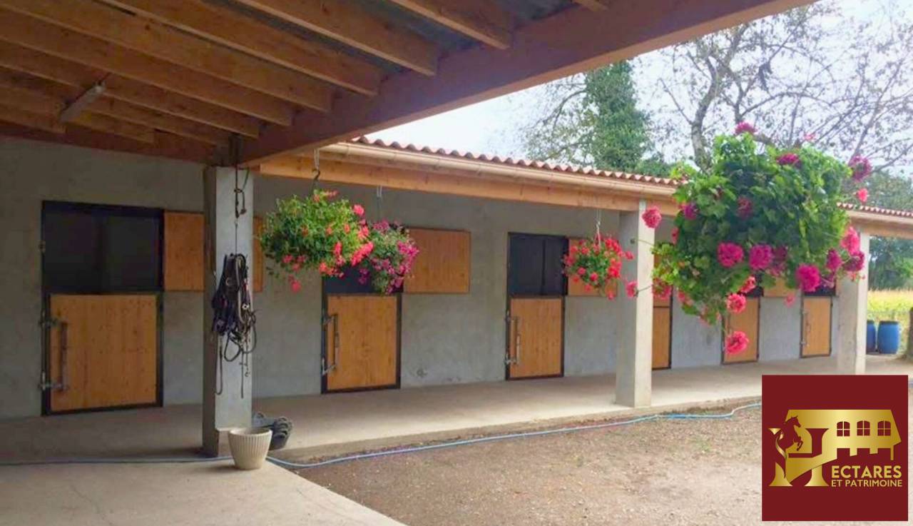 Eigenaren stal Koop Is&egrave;re