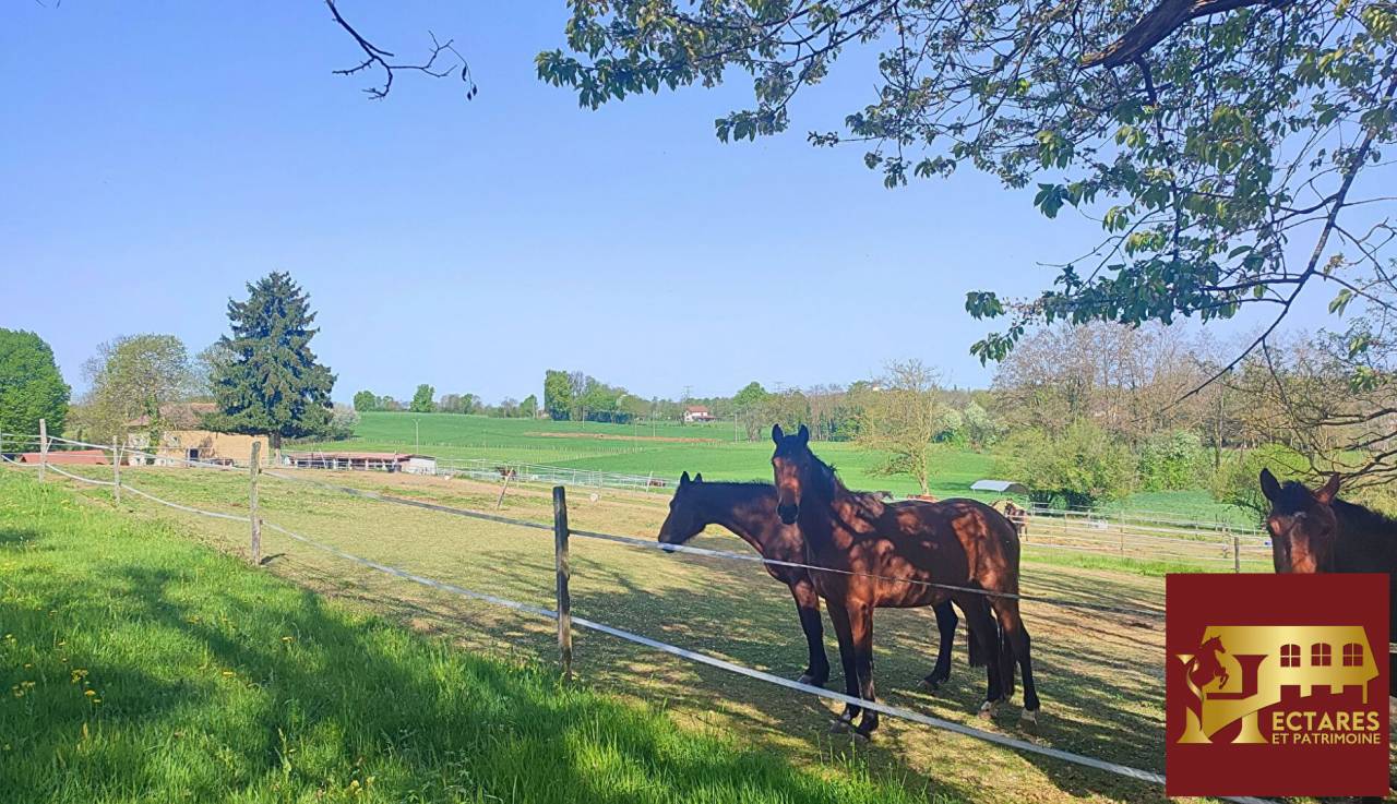 Eigenaren stal Koop Is&egrave;re