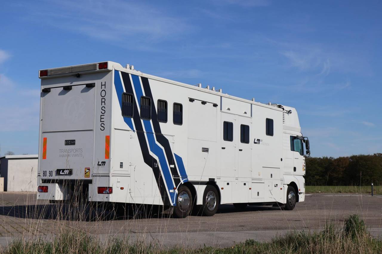 Zware paardenvrachtwagen (groot rijbewijs) Man MAN TGA 26.430 JL POP OUT 2006 Tweedehands