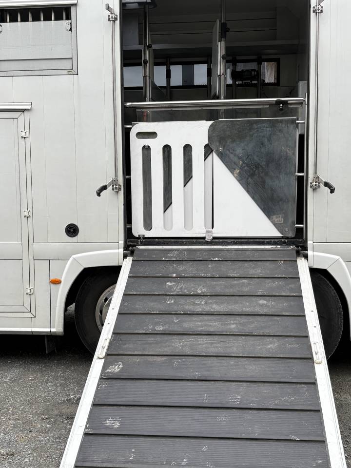 Zware paardenvrachtwagen (groot rijbewijs) Renault MAGNUM STX 2011 Tweedehands