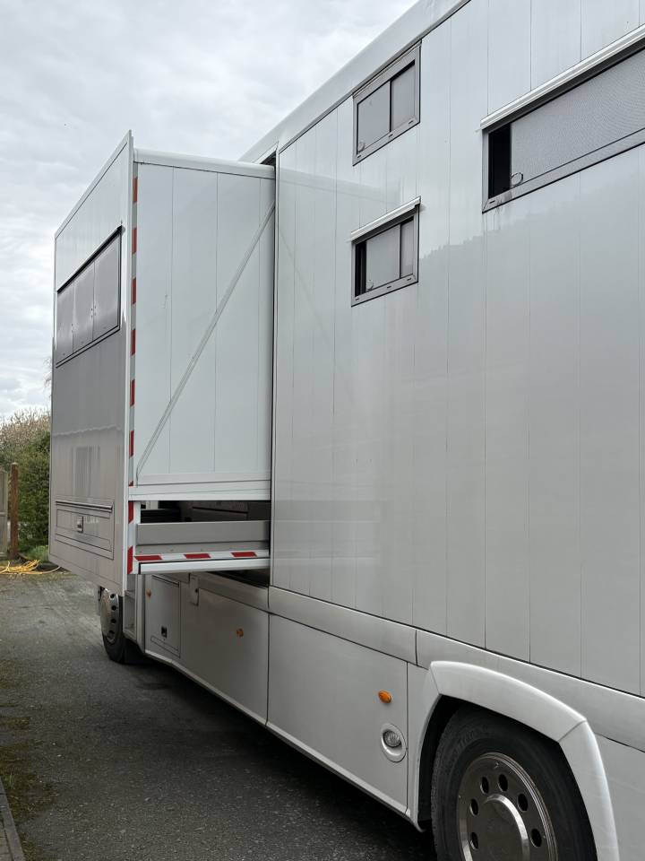 Zware paardenvrachtwagen (groot rijbewijs) Renault MAGNUM STX 2011 Tweedehands