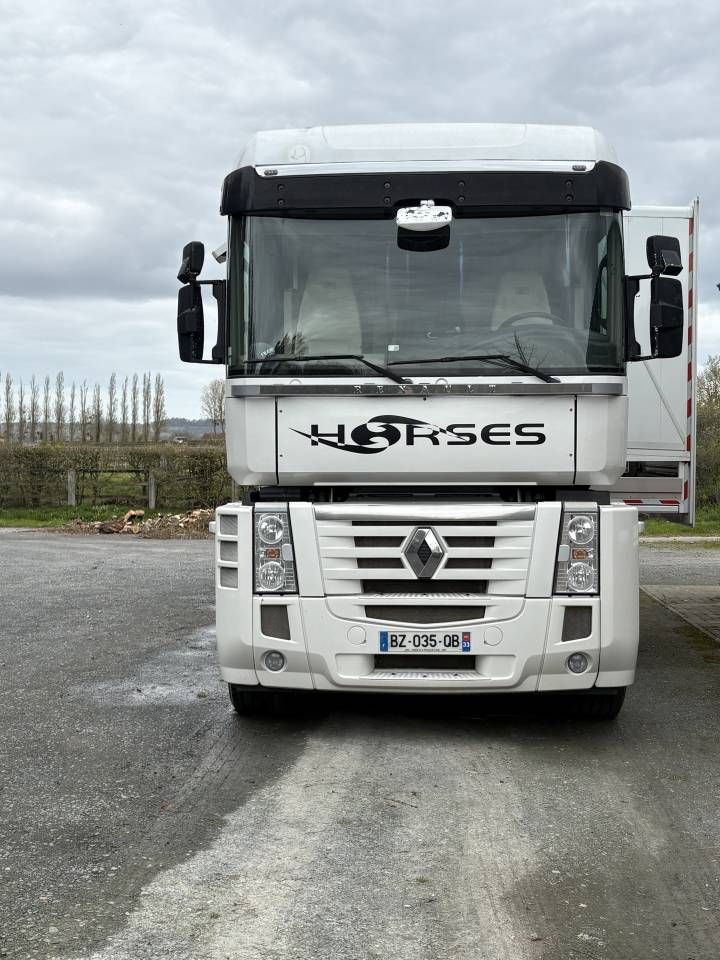 Zware paardenvrachtwagen (groot rijbewijs) Renault MAGNUM STX 2011 Tweedehands