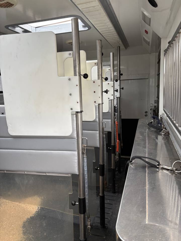 Zware paardenvrachtwagen (groot rijbewijs) Renault MAGNUM STX 2011 Tweedehands