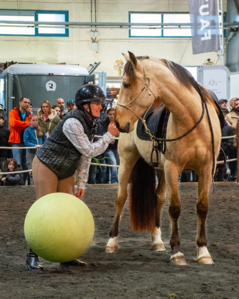 Ruin PRE Puur Ras Spaans Te koop 2021 Isabel