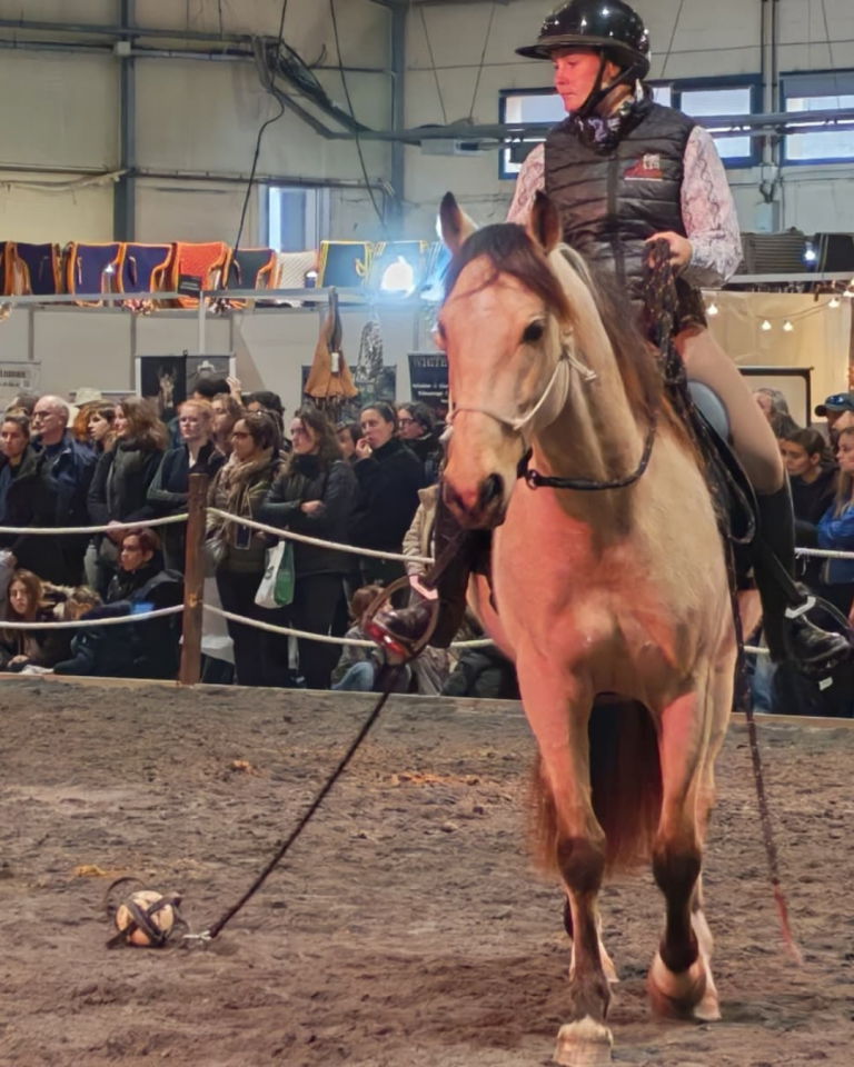 Ruin PRE Puur Ras Spaans Te koop 2021 Isabel