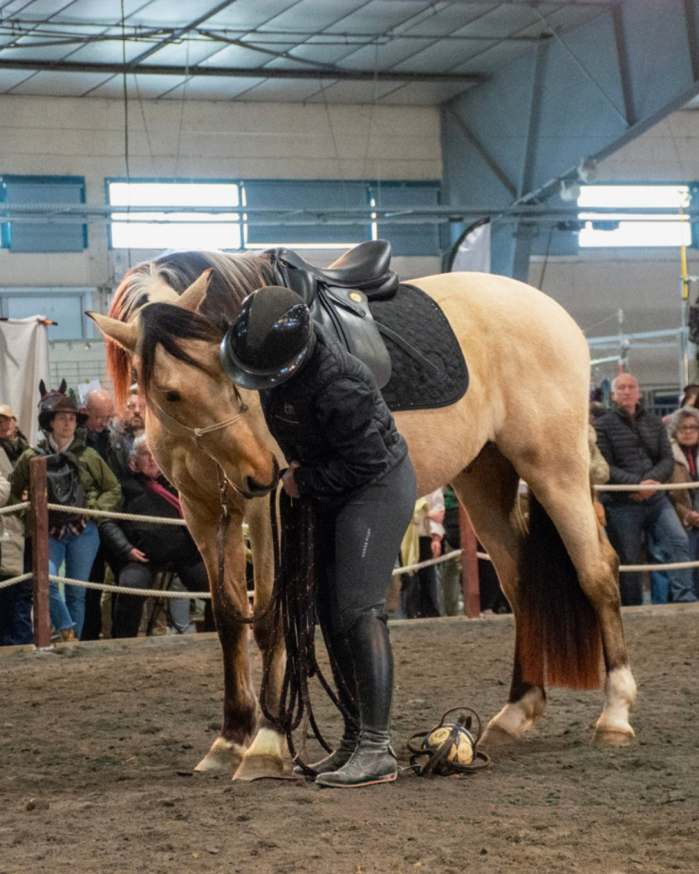 Ruin PRE Puur Ras Spaans Te koop 2021 Isabel