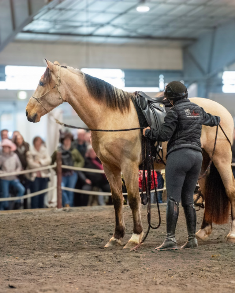 Ruin PRE Puur Ras Spaans Te koop 2021 Isabel