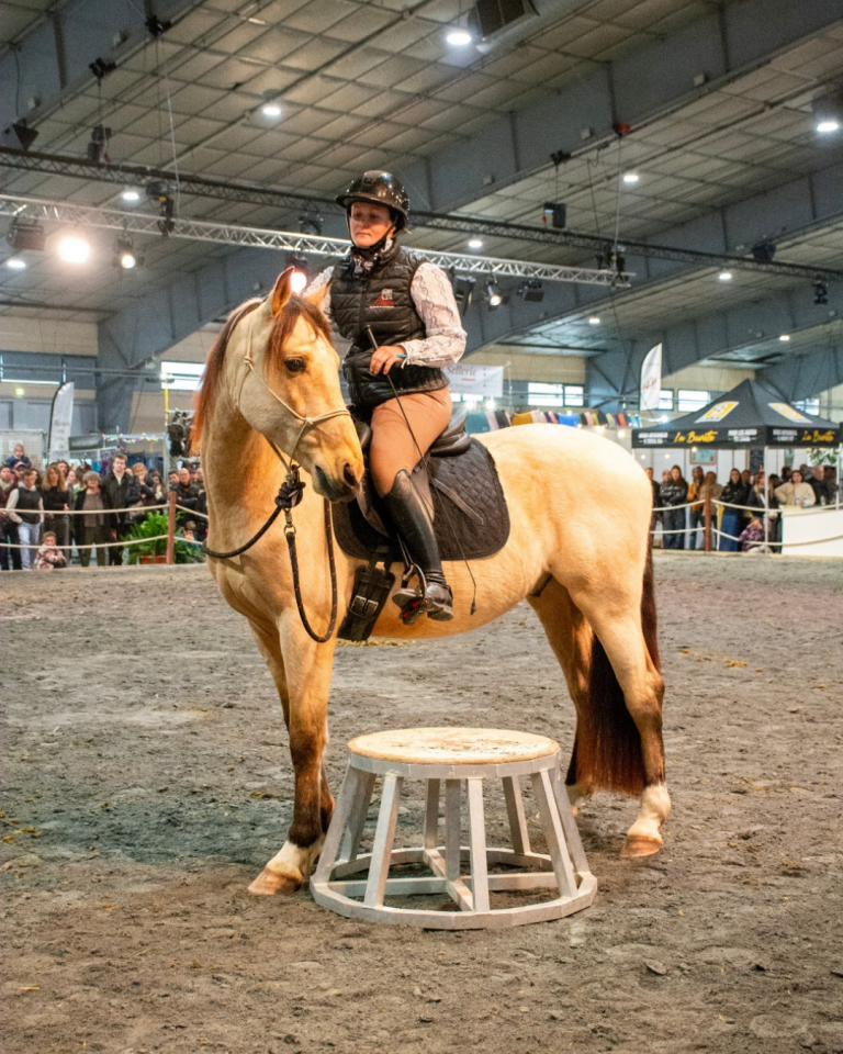 Ruin PRE Puur Ras Spaans Te koop 2021 Isabel