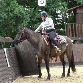 Merrie Quarter Horse Te koop 2020 Muisgrijs ,  JAZ GC DE PLATA