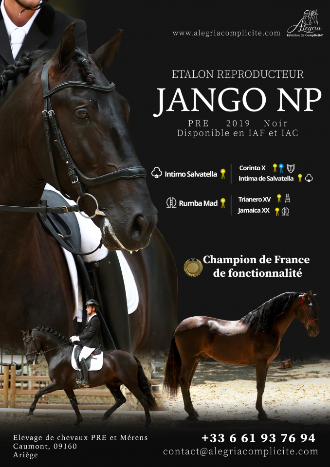 Jango NP - PRE Puur Ras Spaans 2017 ,  INTIMO SALVATELLA