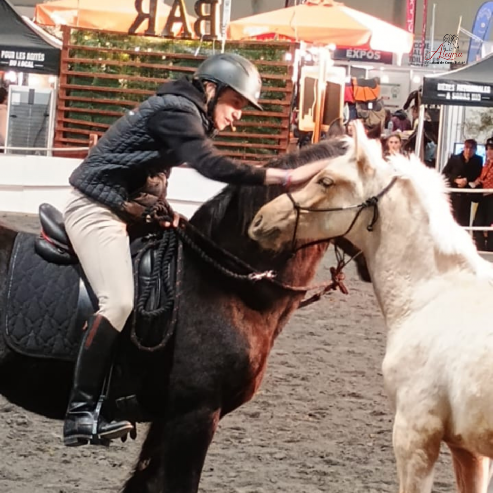 Veulen (ml) PRE Puur Ras Spaans Te koop 2025 Palomino ,  ADAGIO CALLER