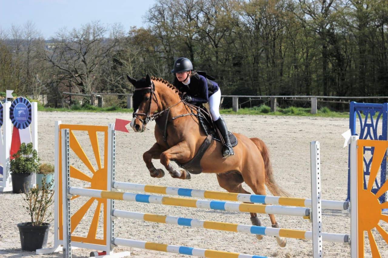 Ruin Franse rijpony PFS Te koop 2011 Vos ,  MEEPING CHA DE FLORYS